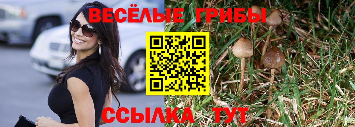 Псилоцибиновые грибы GOLDEN TEACHER Выборг